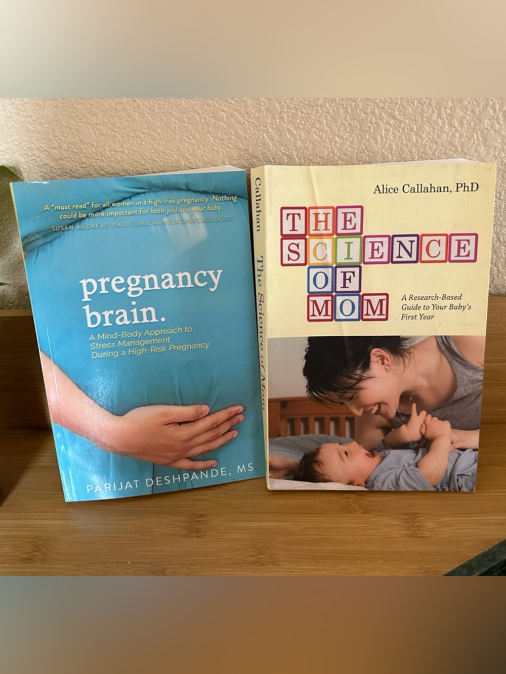 New Mom Book Bundle Science of Mom Pregnancy Brain Parenting Books